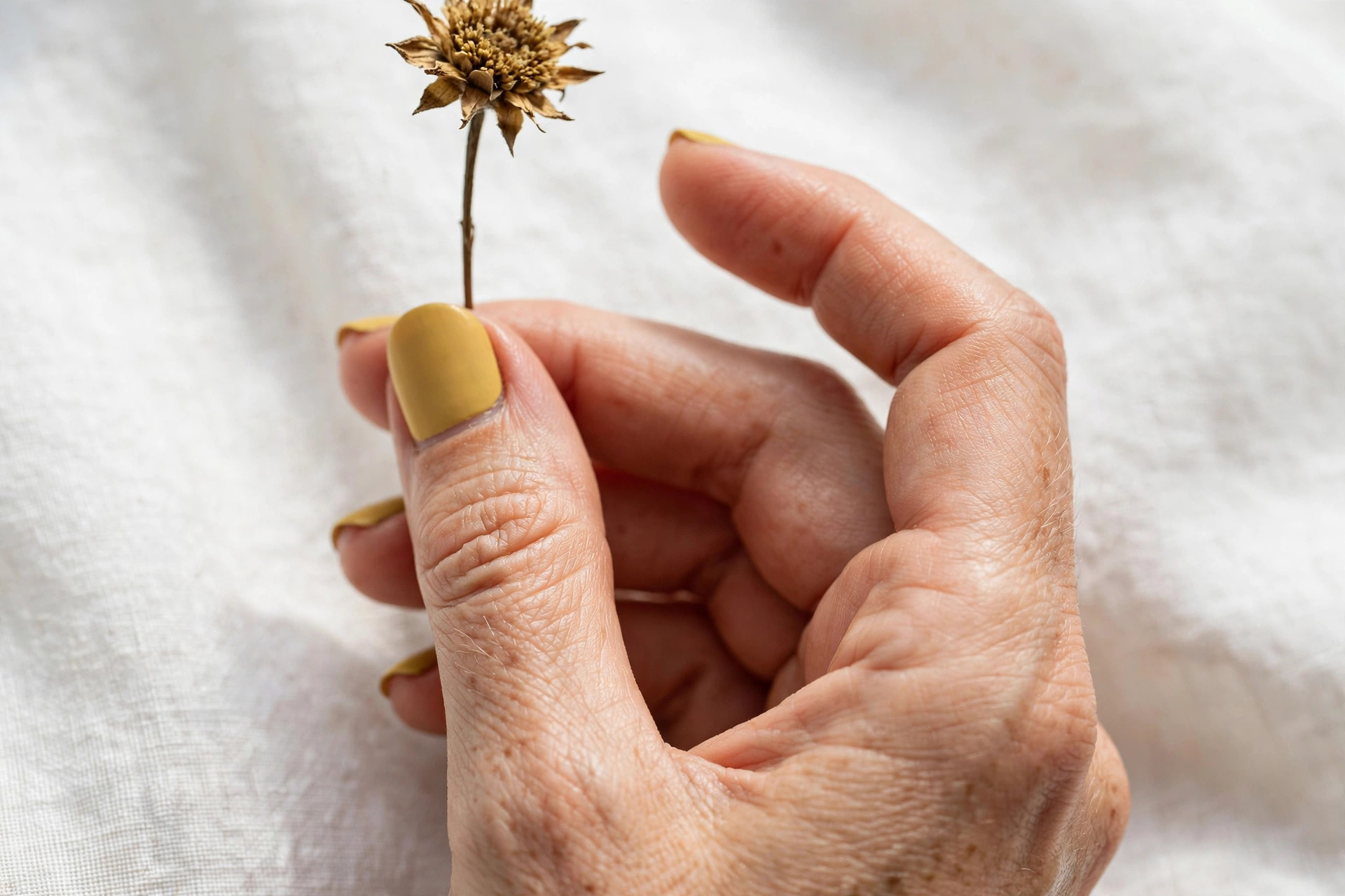 Muted mustard yellow manicure on short oval nails, hand holding a dried sunflower stem