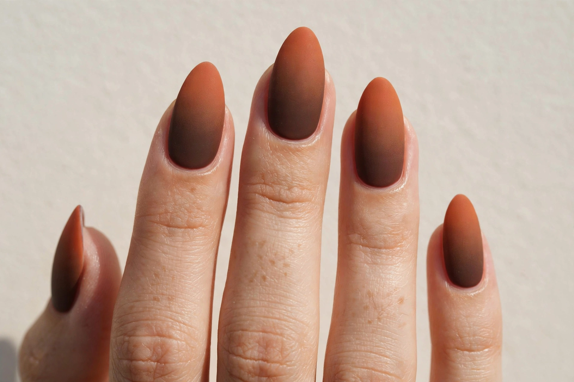 Matte nude nails with matte black French tips